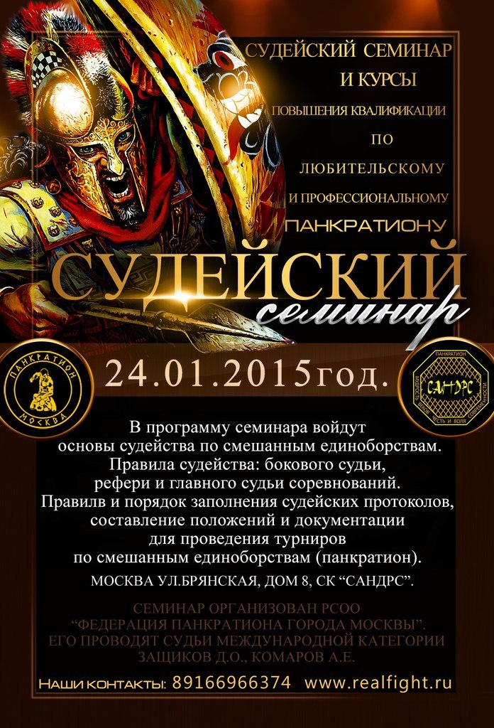Read more about the article 24.01.15г. Судейский семинар по панкратиону 2015г.
