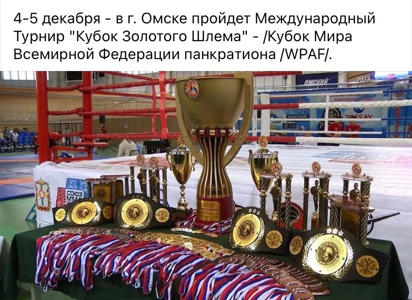 Read more about the article 4-5.12.2024 г. Международный турнир «Кубок Золотого Шлема»